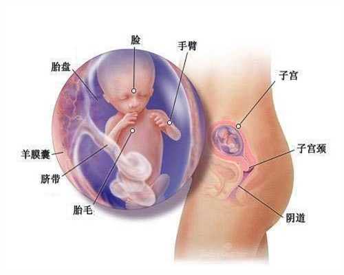 供卵试管婴儿咨询坤和助孕_深圳提供卵巢早衰借卵助孕_「助孕」试管婴儿之前