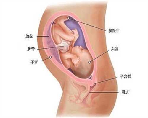 深圳医院供卵_供卵5次不成功_代生小孩是谁的~代孕需要多少钱