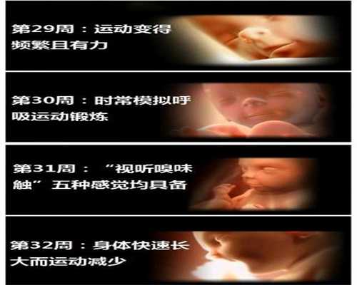 国内供卵违法吗_深圳供卵试管的费用多少呢_找代孕的风险_代孕宝宝网