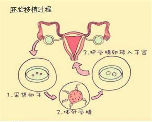 深圳试管代生_深圳医院可以供卵做试管婴儿吗_如果我在孕晚期晚上有血迹，我