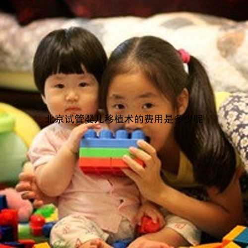 北京试管婴儿移植术的费用是多少呢