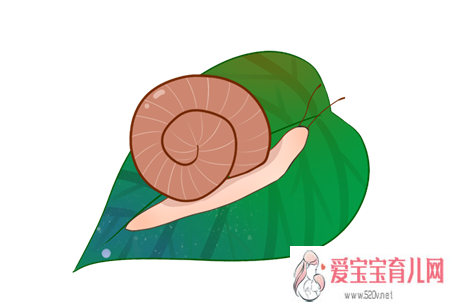 深圳供卵中介机构_深圳供卵对子宫的要求_小蜗牛的旅行故事